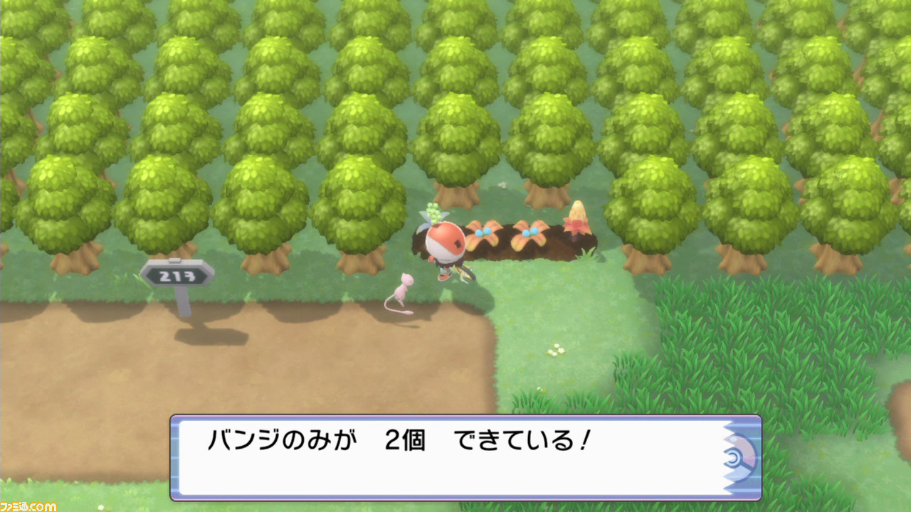 【BDSP攻略超入門編】ビギナー&復帰者向け冒険ガイド。いまさら聞けないポケモン基礎知識11選