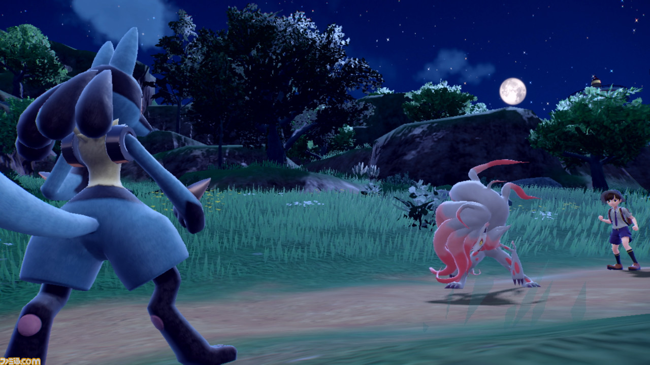 p7_ヒスイゾロアークvsルカリオ